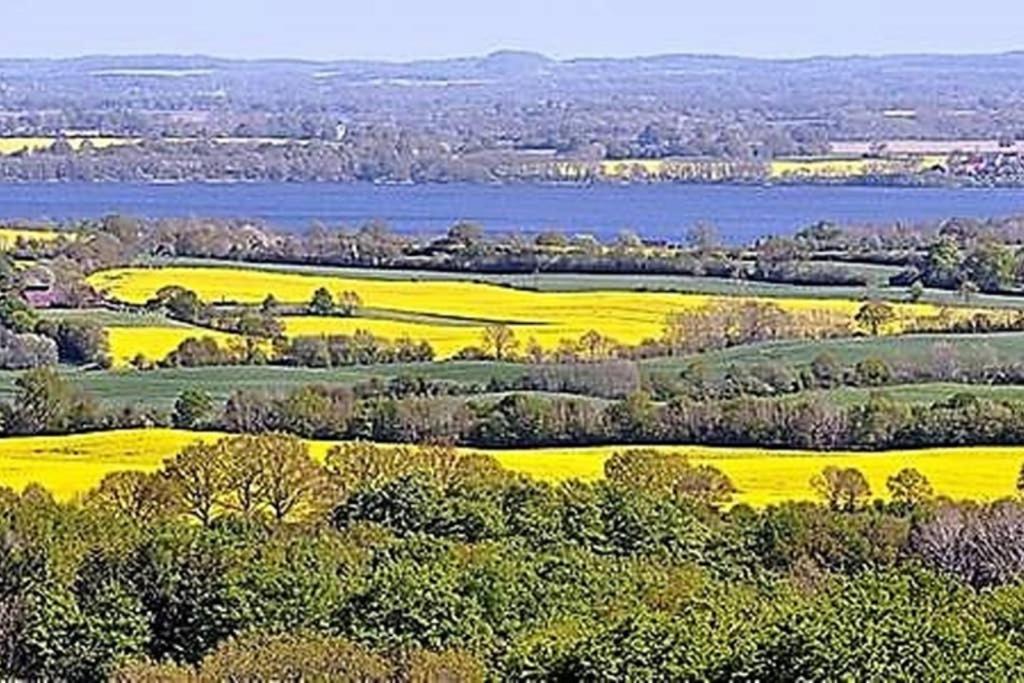 Fewo Am See 15A Klein Wittensee エクステリア 写真