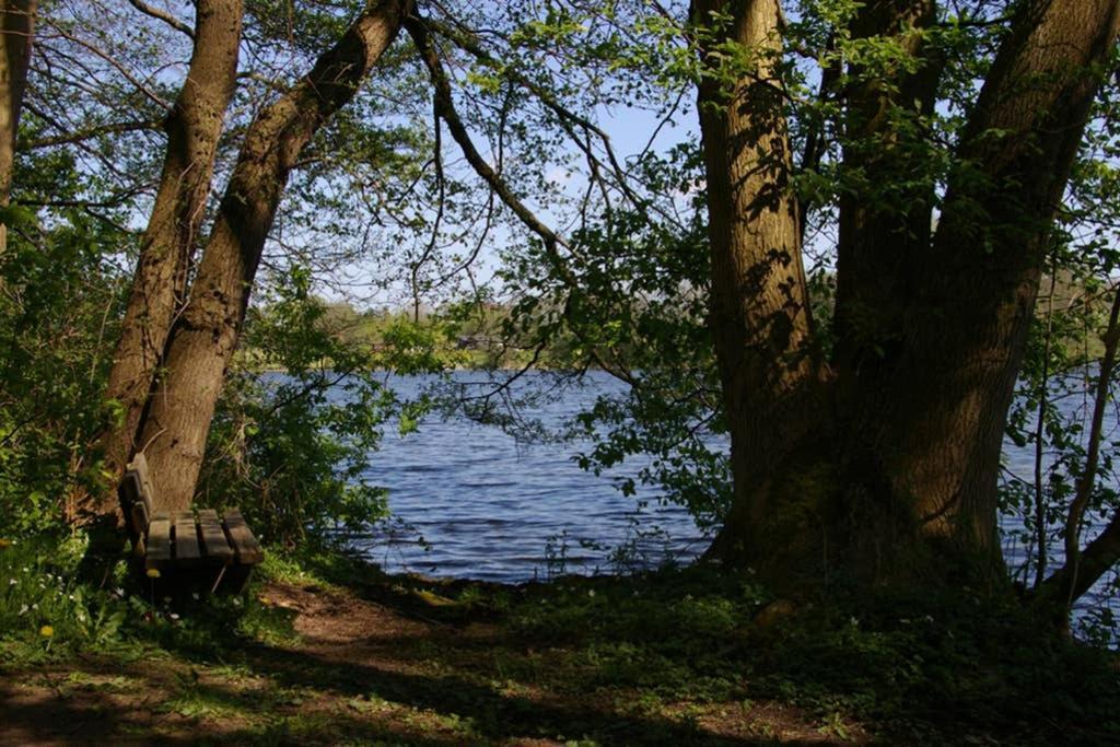 Fewo Am See 15A Klein Wittensee エクステリア 写真