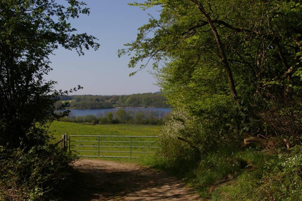 Fewo Am See 15A Klein Wittensee エクステリア 写真