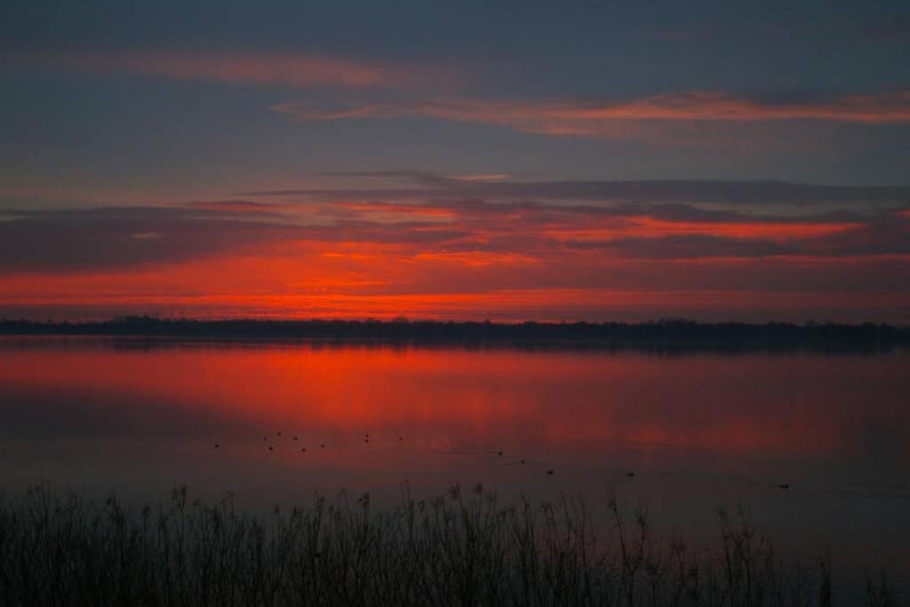 Fewo Am See 15A Klein Wittensee エクステリア 写真